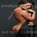 Swinger Clemson